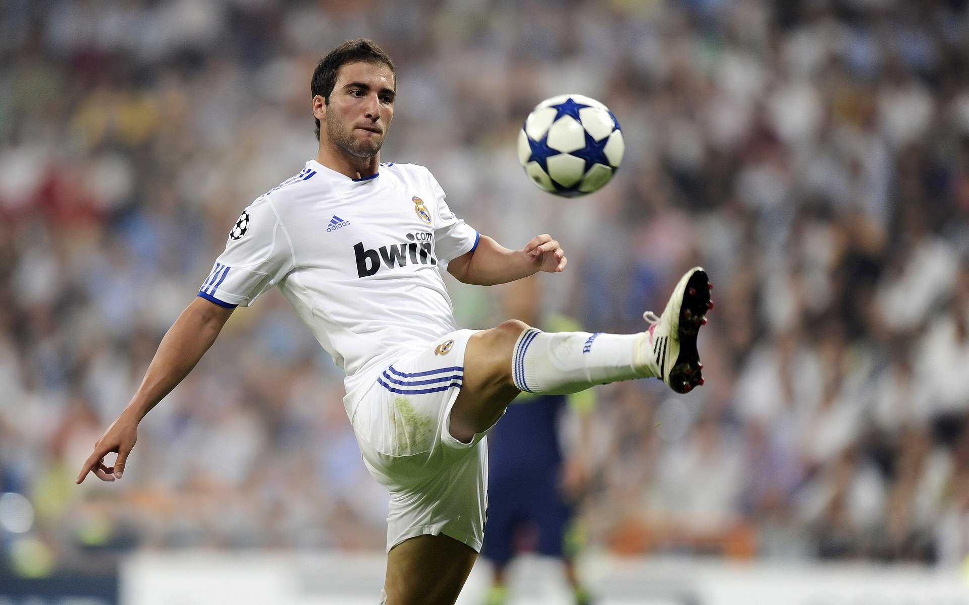 《电竞比赛现场:氛围热烈斗志昂扬》,电竞比赛场景